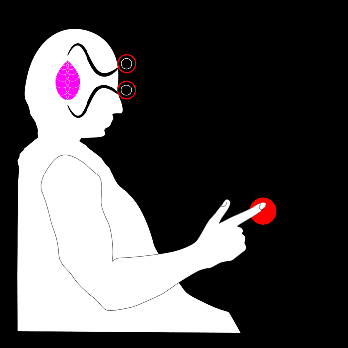 A.C. Evans Design, Motion Graphics, Animation, Dualism, Pineal Gland, Rene Descartes